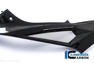 Carbon Fiber Left Side Tank Panel by Ilmberger Carbon BMW / S1000R / 2020