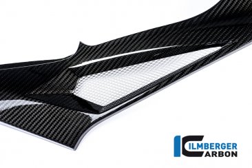 Carbon Fiber Right Side Tank Panel by Ilmberger Carbon