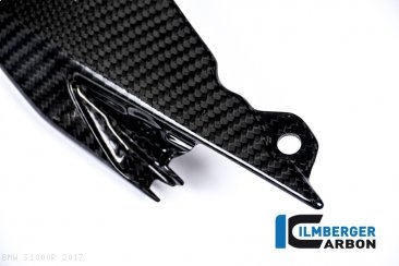 Carbon Fiber Upper Rear Tail Light Center Surround Piece by Ilmberger Carbon BMW / S1000R / 2017