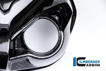 Carbon Fiber Front Fairing by Ilmberger Carbon BMW / S1000R / 2018