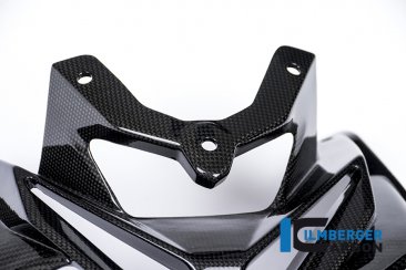 Carbon Fiber Front Fairing by Ilmberger Carbon