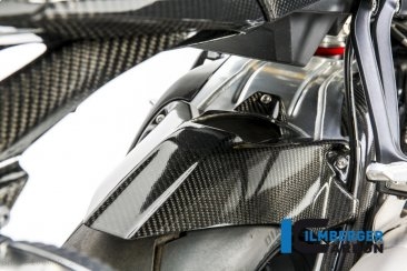 Carbon Fiber Rear Hugger by Ilmberger Carbon BMW / S1000RR / 2012