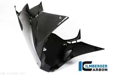 Carbon Fiber Bellypan by Ilmberger Carbon BMW / S1000RR / 2015