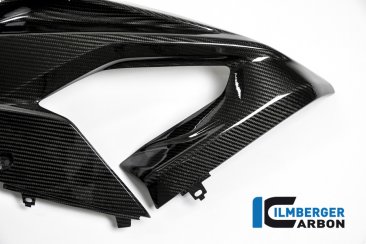 Carbon Fiber Left Side Fairing Panel by Ilmberger Carbon