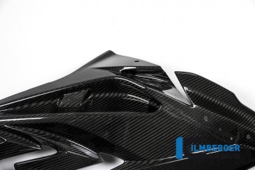 Carbon Fiber Right Side Fairing Panel by Ilmberger Carbon