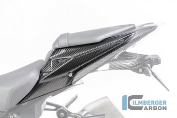 Carbon Fiber Seat Surround Set by Ilmberger Carbon BMW / S1000R / 2014