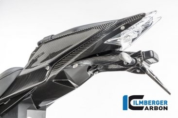 Carbon Fiber Seat Surround Set by Ilmberger Carbon BMW / S1000R / 2014