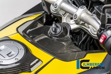 Carbon Fiber Ignition Cover by Ilmberger Carbon BMW / S1000XR / 2015