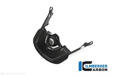 Carbon Fiber Ignition Cover by Ilmberger Carbon BMW / S1000XR / 2017