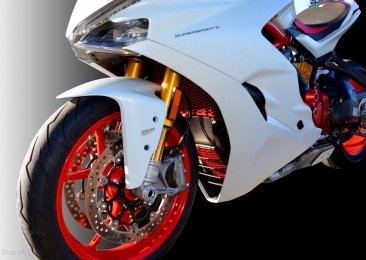 Aluminum Radiator Guard by Ducabike Ducati / Monster 1200R / 2020