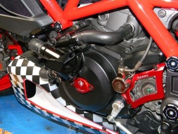 Water Pump Guard with Carbon Inlay by Ducabike Ducati / Hypermotard 950 / 2025