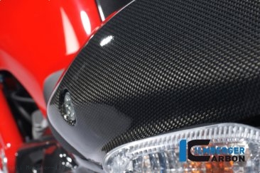 Carbon Fiber Passenger Seat Cover by Ilmberger Carbon Ducati / Monster 1100 EVO / 2012