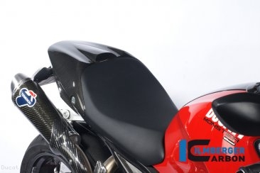 Carbon Fiber Passenger Seat Cover by Ilmberger Carbon Ducati / Monster 696 / 2009