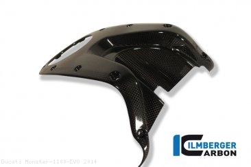 Carbon Fiber Gas Tank Center Cover by Ilmberger Carbon Ducati / Monster 1100 EVO / 2014