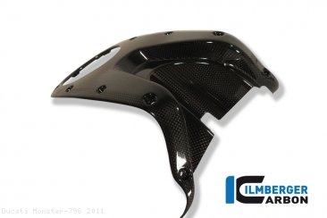 Carbon Fiber Gas Tank Center Cover by Ilmberger Carbon Ducati / Monster 796 / 2011