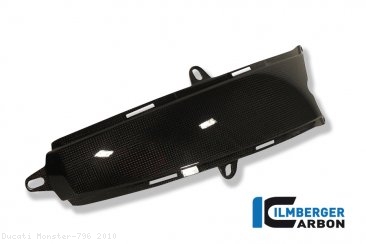 Carbon Fiber Gas Tank Center Extension Cover by Ilmberger Carbon Ducati / Monster 796 / 2010