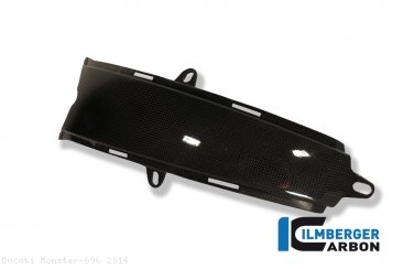Carbon Fiber Gas Tank Center Extension Cover by Ilmberger Carbon Ducati / Monster 696 / 2014