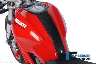 Carbon Fiber Gas Tank Center Extension Cover by Ilmberger Carbon Ducati / Monster 1100 / 2010