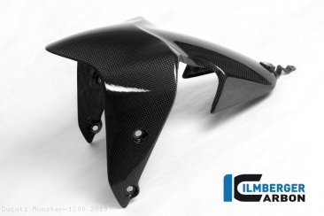 Carbon Fiber Front Fender by Ilmberger Carbon Ducati / Monster 1200 / 2019