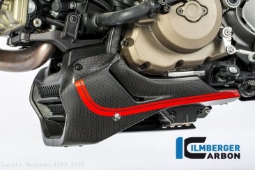 Carbon Fiber Bellypan by Ilmberger Carbon Ducati / Monster 1200 / 2015