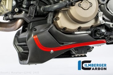 Carbon Fiber Bellypan by Ilmberger Carbon Ducati / Monster 1200S / 2015