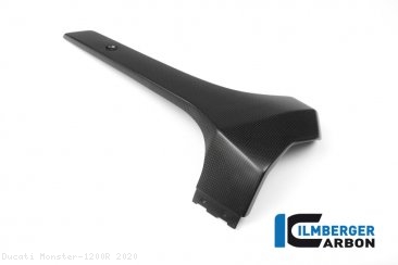 Carbon Fiber Bellypan by Ilmberger Carbon Ducati / Monster 1200R / 2020