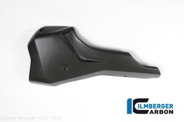 Carbon Fiber Bellypan by Ilmberger Carbon Ducati / Monster 1200 / 2015