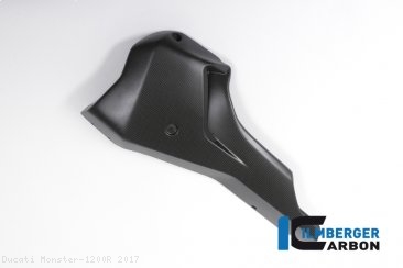 Carbon Fiber Bellypan by Ilmberger Carbon Ducati / Monster 1200R / 2017