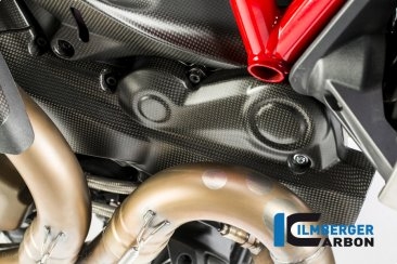 Carbon Fiber Horizontal Belt Cover by Ilmberger Carbon Ducati / Monster 1200R / 2017