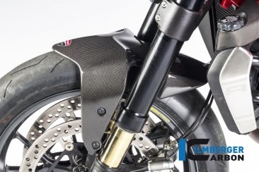 Carbon Fiber Front Fender by Ilmberger Carbon Ducati / Monster 1200S / 2016