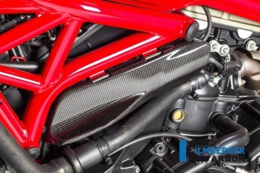 Carbon Fiber LEFT side under frame cover by Ilmberger Carbon Ducati / Monster 821 / 2020