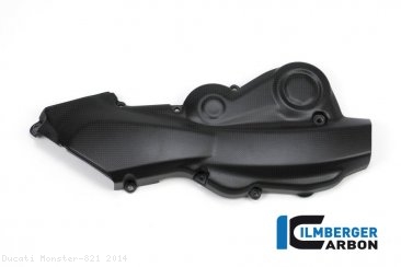 Carbon Fiber Horizontal Belt Cover by Ilmberger Carbon Ducati / Monster 821 / 2014