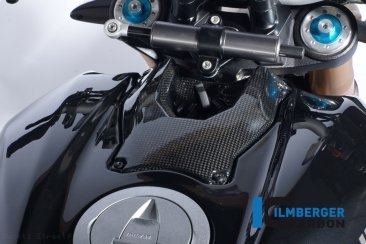 Carbon Fiber Ignition Cover by Ilmberger Carbon Ducati / Streetfighter 848 / 2013
