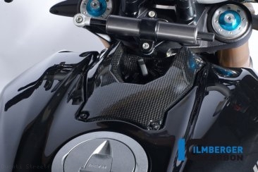 Carbon Fiber Ignition Cover by Ilmberger Carbon Ducati / Streetfighter 848 / 2015