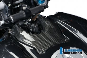 Carbon Fiber Ignition Cover by Ilmberger Carbon Ducati / Streetfighter 848 / 2013