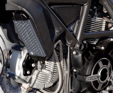 Aluminum Oil Cooler Guard by Ducabike Ducati / Scrambler 800 Cafe Racer / 2021