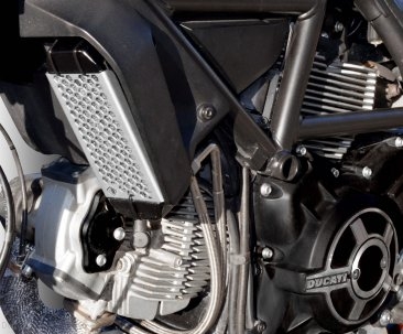 Aluminum Oil Cooler Guard by Ducabike Ducati / Scrambler 800 Desert Sled / 2017