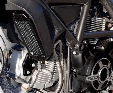 Aluminum Oil Cooler Guard by Ducabike Ducati / Scrambler 800 Cafe Racer / 2021
