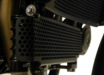 Radiator and Oil Cooler Guard by Evotech Performance Triumph / Speed Triple RS / 2019