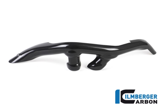 Carbon Fiber Swingarm Cover by Ilmberger Carbon