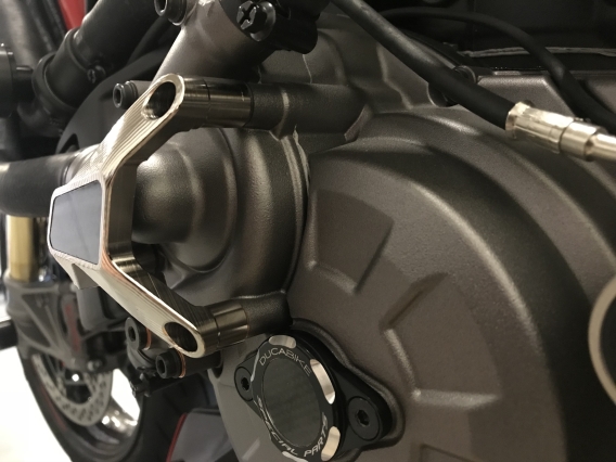 Water Pump Guard with Carbon Inlay by Ducabike