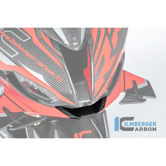 Carbon Fiber Fairing Bridge by Ilmberger Carbon