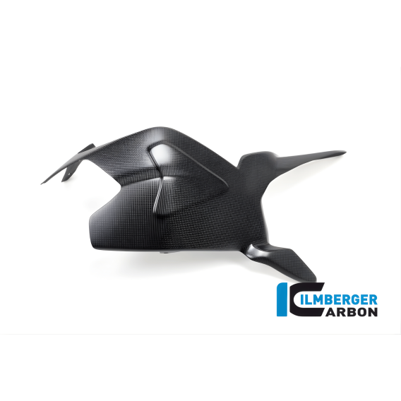 Carbon Fiber Swingarm Cover by Ilmberger Carbon