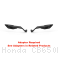  Honda / CB650R / 2021