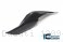 Carbon Fiber Left Tail Fairing by Ilmberger Carbon Ducati / 1299 Panigale R / 2015