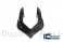 Carbon Fiber Front Fairing by Ilmberger Carbon Ducati / Panigale V4 / 2018