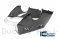 Carbon Fiber Bellypan by Ilmberger Carbon Ducati / Panigale V4 / 2021