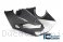 Carbon Fiber Bellypan by Ilmberger Carbon Ducati / Panigale V4 Speciale / 2019