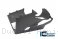 Carbon Fiber Bellypan by Ilmberger Carbon Ducati / Panigale V4 R / 2019