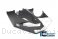 Carbon Fiber Bellypan by Ilmberger Carbon Ducati / Panigale V4 Speciale / 2018